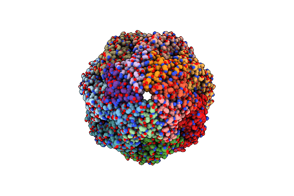 8BM1 image