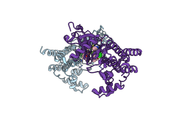 8BM2 image