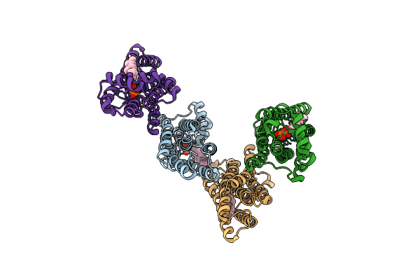 8BM3 image