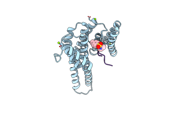8BM5 image