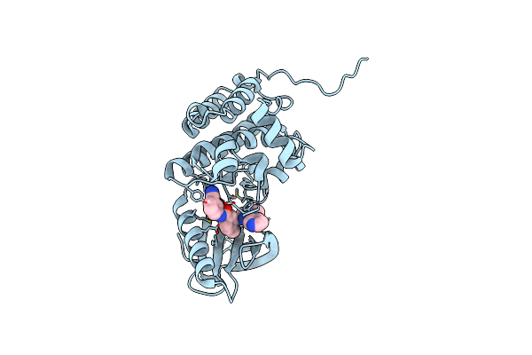 8BM8 image