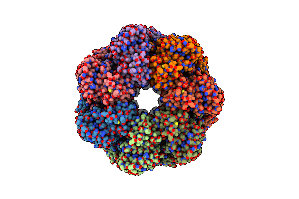 8BMD image