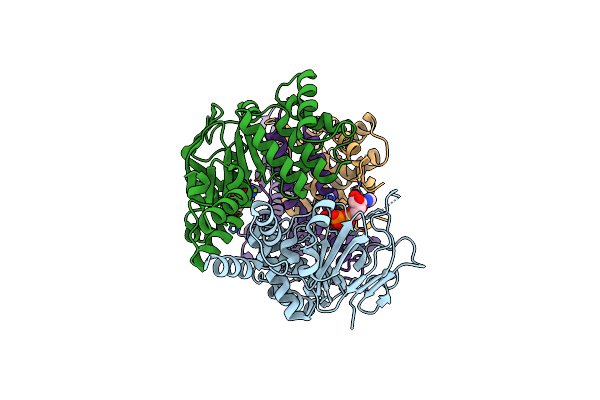 8BMP image
