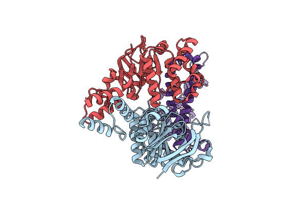 8BMR image
