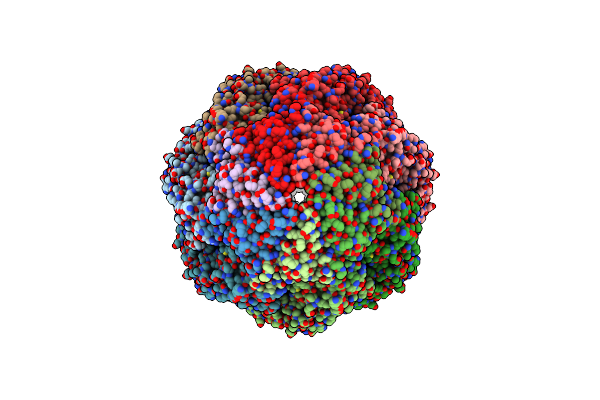 8BMT image