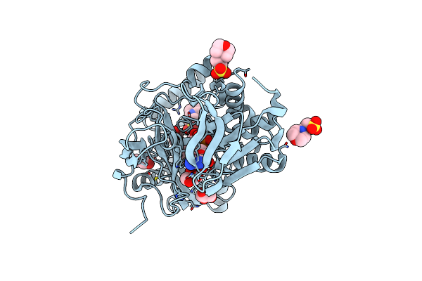 8BMU image