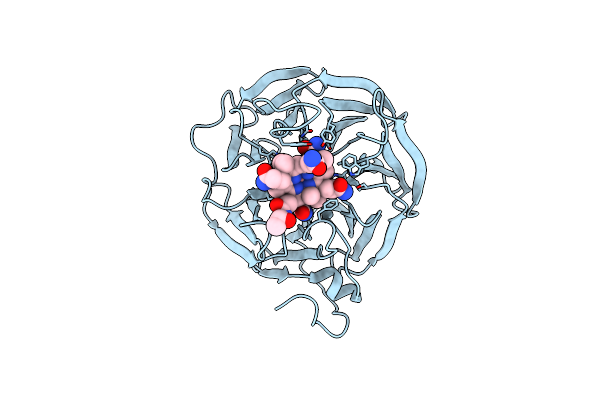 8BN0 image