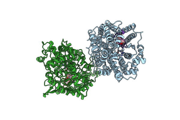 8BN1 image