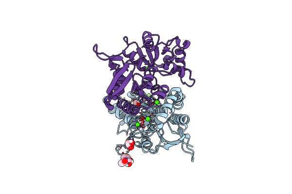 8BN2 image