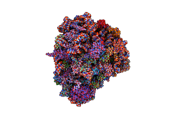 8BN3 image