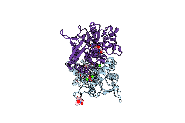8BN5 image