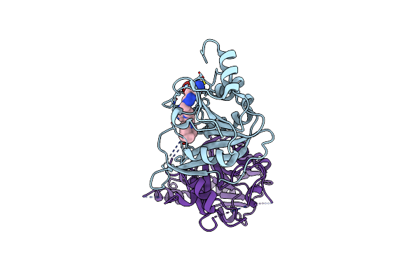 8BN8 image
