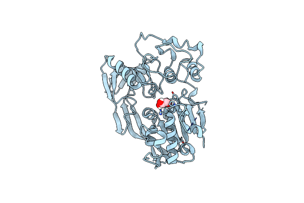 8BNV image