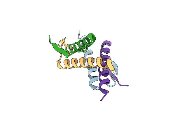 8BNY image