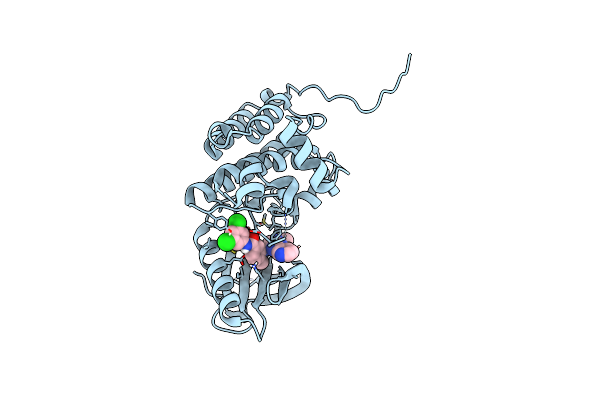 8BOD image