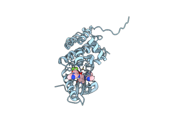 8BOH image