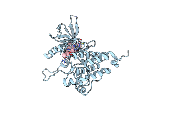 8BOK image