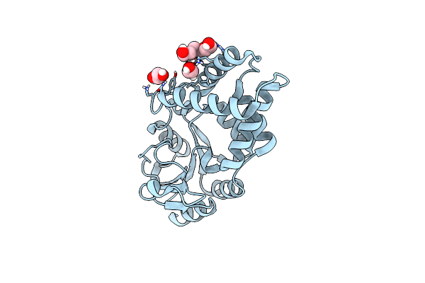 8BP0 image