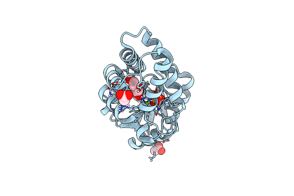 8BP1 image