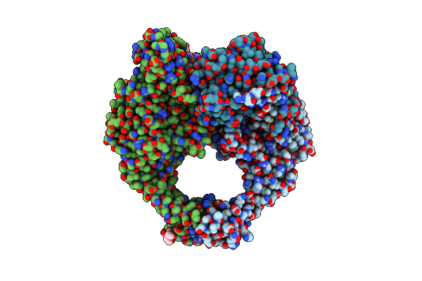 8BP2 image