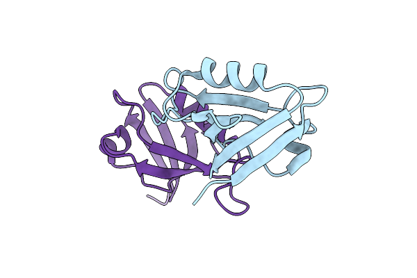 8BP5 image