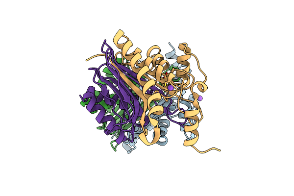 8BP9 image