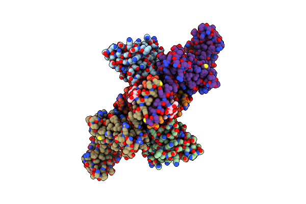 8BPG image