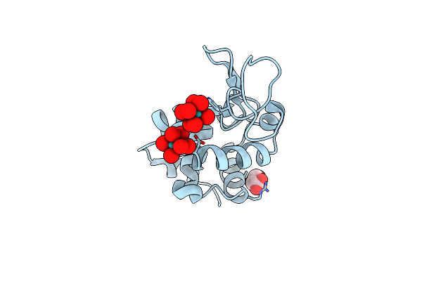 8BPH image
