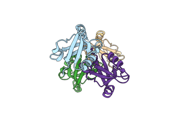 8BPM image