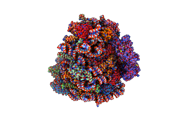 8BPO image