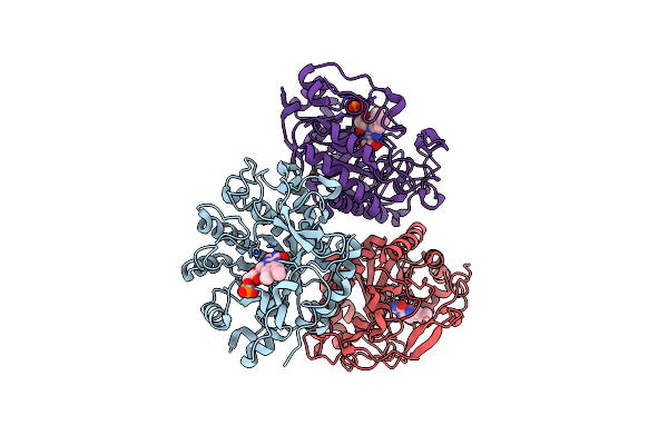 8BPP image