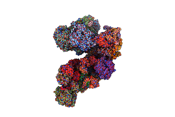 8BPX image