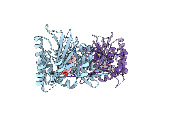8BQ4 image