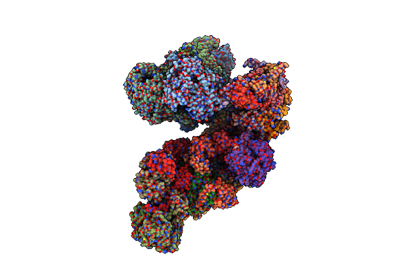 8BQ5 image