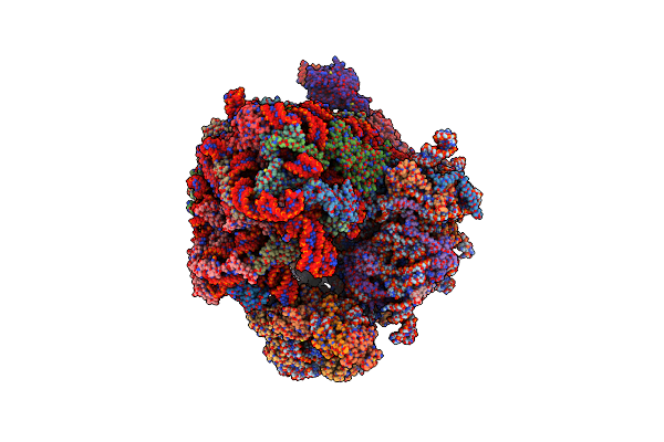8BQD image