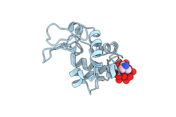 8BQQ image