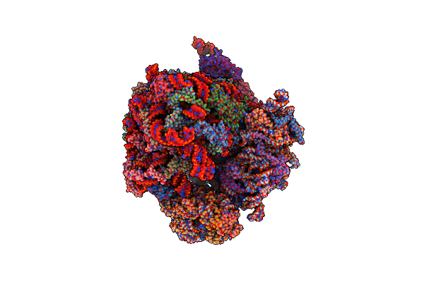8BQX image