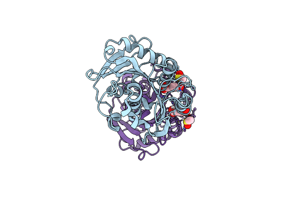 8BRB image