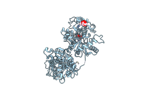 8BRC image