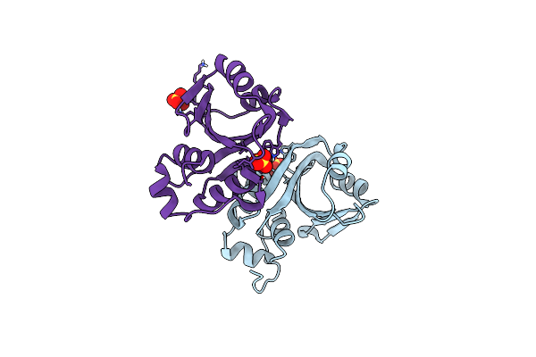 8BRF image