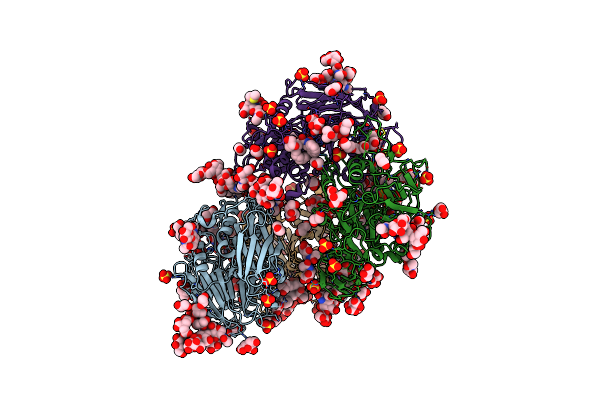 8BRN image