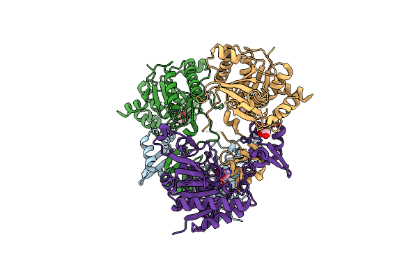 8BRP image