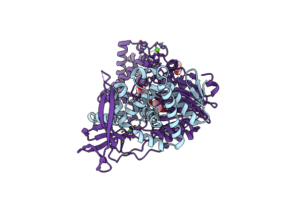 8BRT image