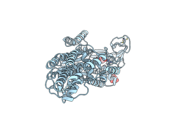 8BRU image