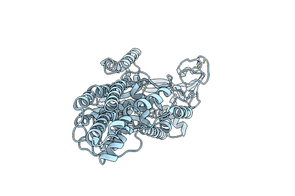 8BRW image