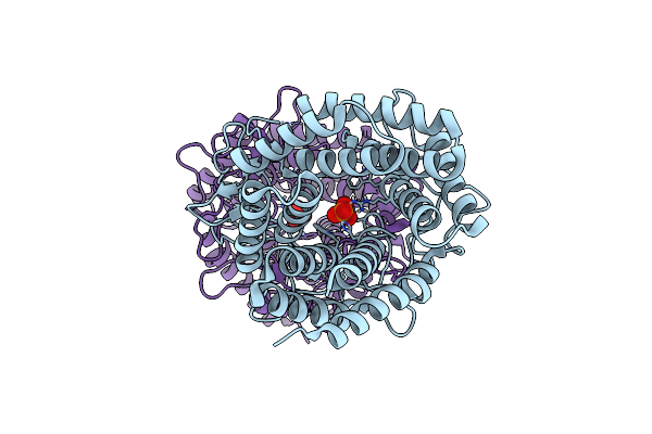 8BS0 image