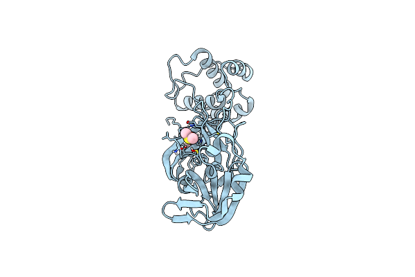 8BS1 image
