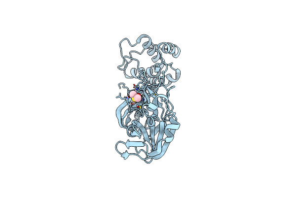 8BS2 image