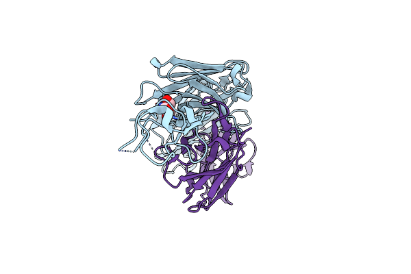 8BS8 image
