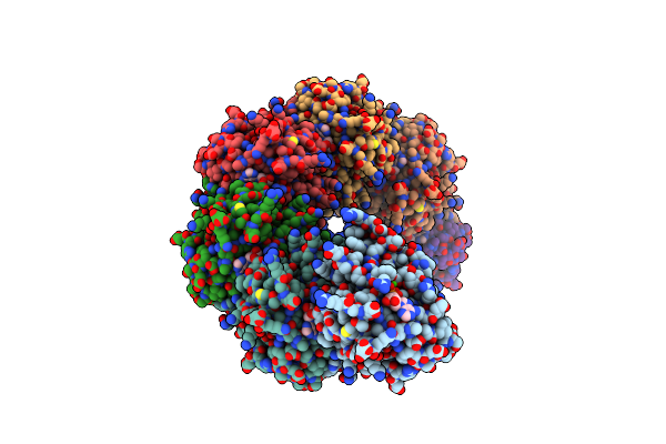 8BSC image